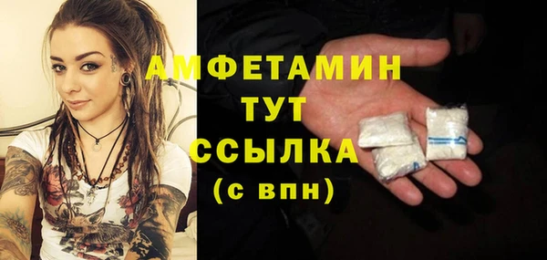 дмт Алзамай